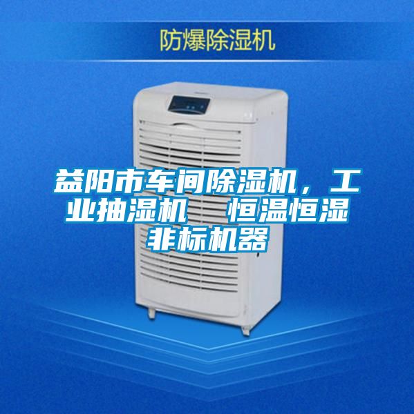 益陽市車間除濕機，工業(yè)抽濕機  恒溫恒濕非標機器