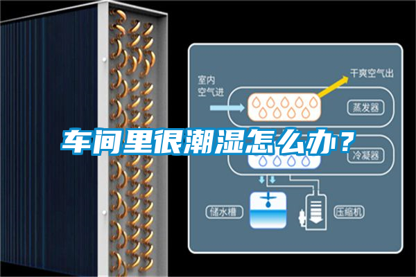 車間里很潮濕怎么辦？