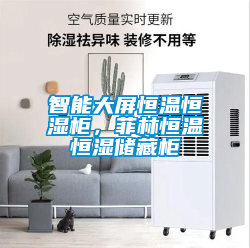 智能大屏恒溫恒濕柜，菲林恒溫恒濕儲(chǔ)藏柜
