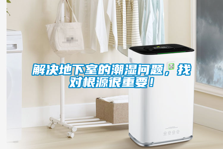解決地下室的潮濕問題，找對根源很重要！