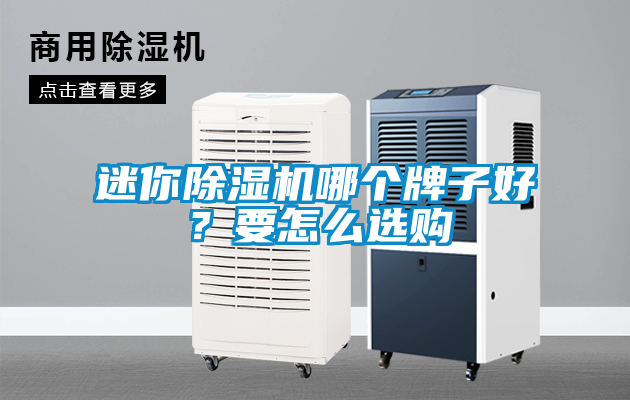 迷你除濕機(jī)哪個(gè)牌子好？要怎么選購(gòu)