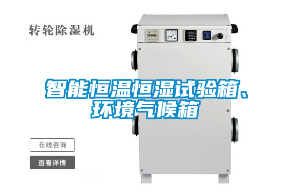 智能恒溫恒濕試驗(yàn)箱、環(huán)境氣候箱