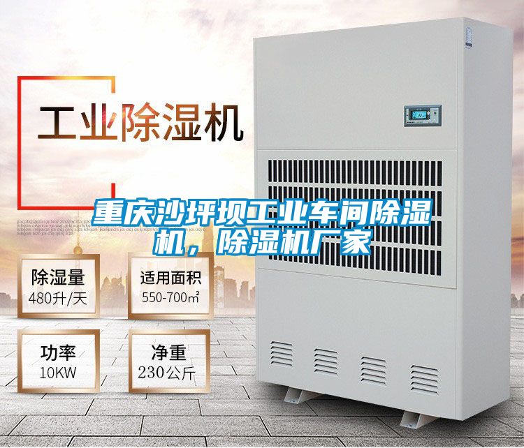 重慶沙坪壩工業(yè)車間除濕機(jī)，除濕機(jī)廠家