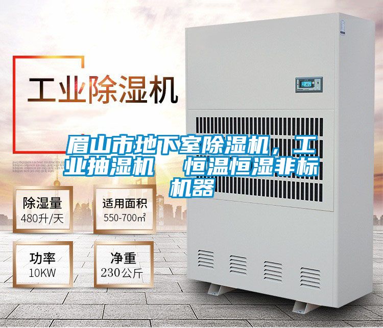 眉山市地下室除濕機，工業(yè)抽濕機  恒溫恒濕非標(biāo)機器