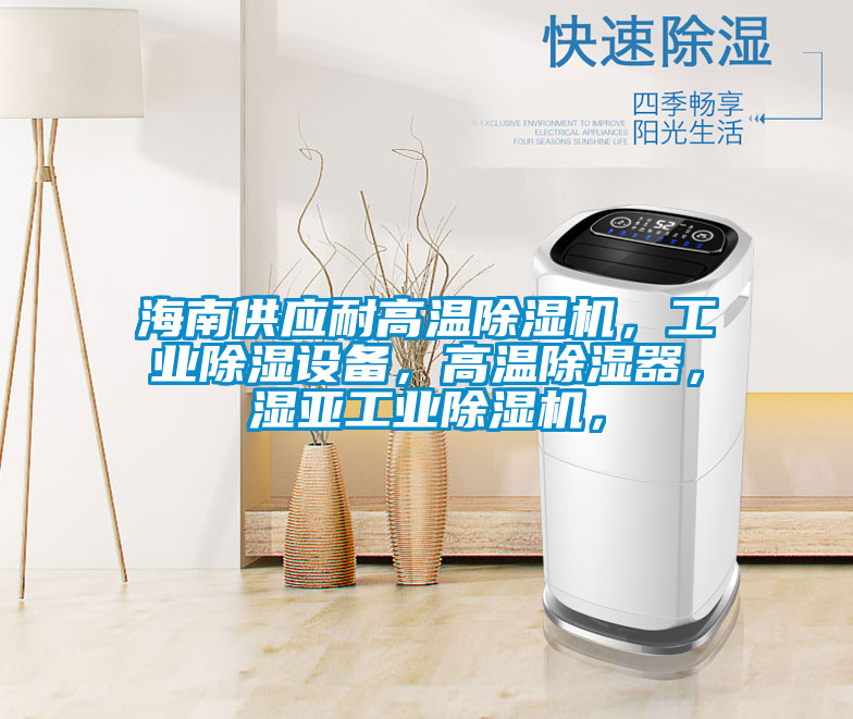 海南供應(yīng)耐高溫除濕機(jī)，工業(yè)除濕設(shè)備，高溫除濕器，濕亞工業(yè)除濕機(jī)，