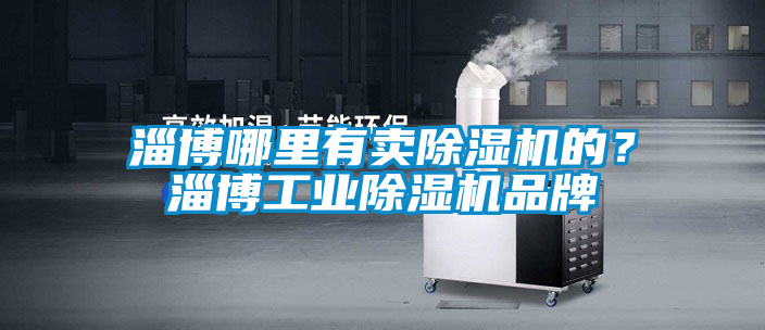 淄博哪里有賣(mài)除濕機(jī)的？淄博工業(yè)除濕機(jī)品牌