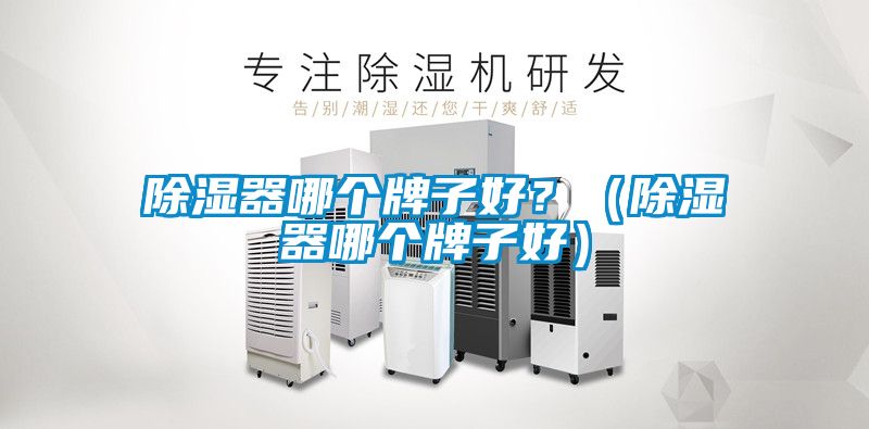 除濕器哪個(gè)牌子好？（除濕器哪個(gè)牌子好）