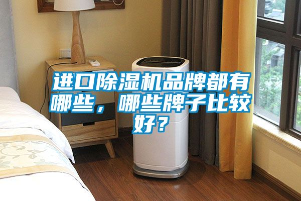 進口除濕機品牌都有哪些，哪些牌子比較好？