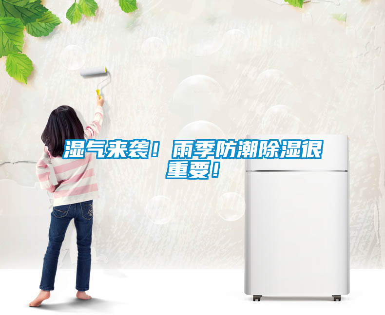 濕氣來襲！雨季防潮除濕很重要！