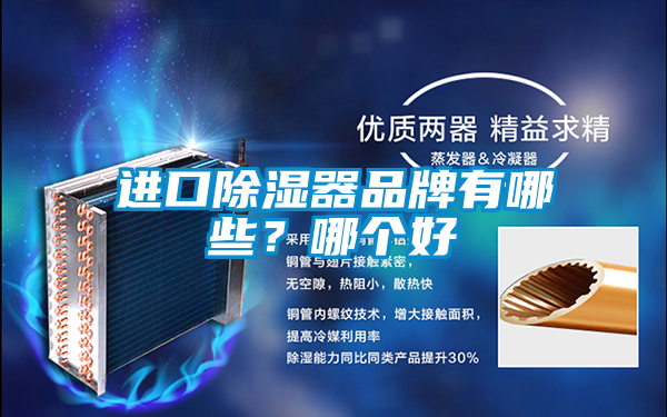 進口除濕器品牌有哪些？哪個好