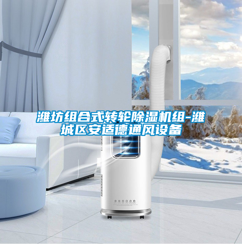 濰坊組合式轉輪除濕機組-濰城區(qū)安適德通風設備
