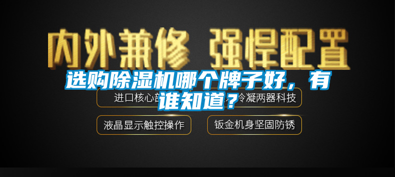 選購除濕機(jī)哪個(gè)牌子好，有誰知道？