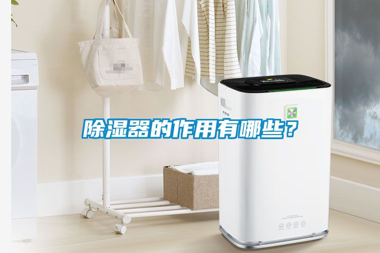 除濕器的作用有哪些？