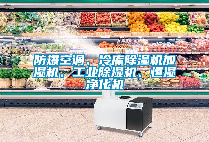 防爆空調(diào)、冷庫(kù)除濕機(jī)加濕機(jī)、工業(yè)除濕機(jī)、恒濕凈化機(jī)