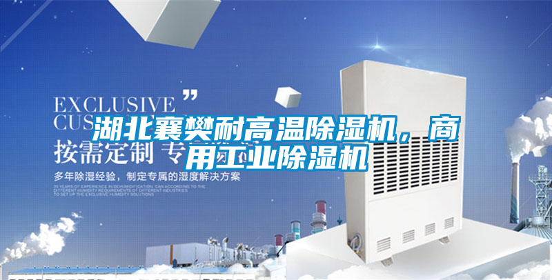 湖北襄樊耐高溫除濕機，商用工業(yè)除濕機