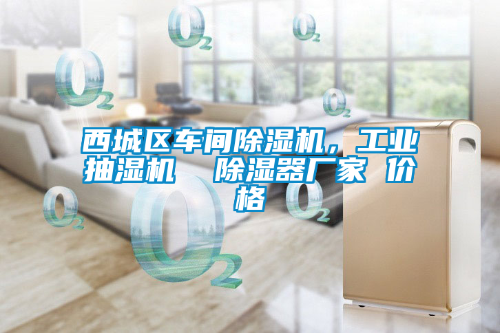 西城區(qū)車間除濕機，工業(yè)抽濕機  除濕器廠家 價格