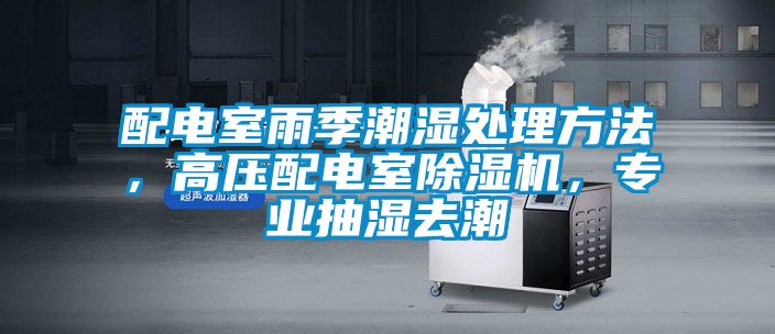 配電室雨季潮濕處理方法，高壓配電室除濕機(jī)，專業(yè)抽濕去潮
