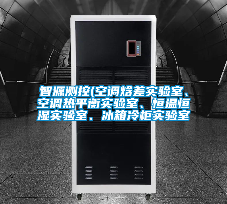 智源測控(空調(diào)焓差實(shí)驗(yàn)室、空調(diào)熱平衡實(shí)驗(yàn)室、恒溫恒濕實(shí)驗(yàn)室、冰箱冷柜實(shí)驗(yàn)室