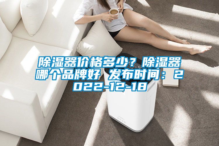 除濕器價格多少？除濕器哪個品牌好 發(fā)布時間：2022-12-18