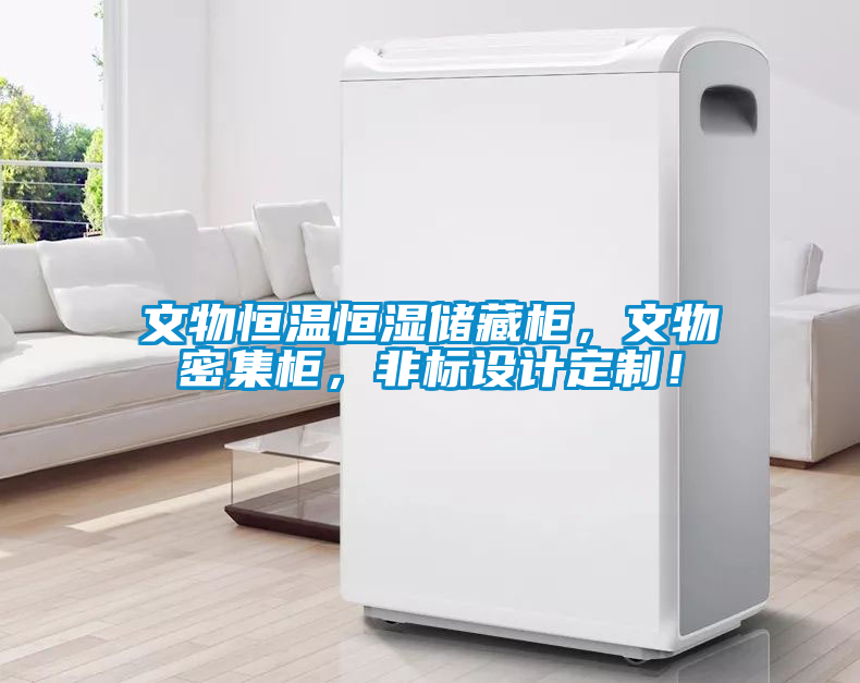 文物恒溫恒濕儲(chǔ)藏柜，文物密集柜，非標(biāo)設(shè)計(jì)定制！