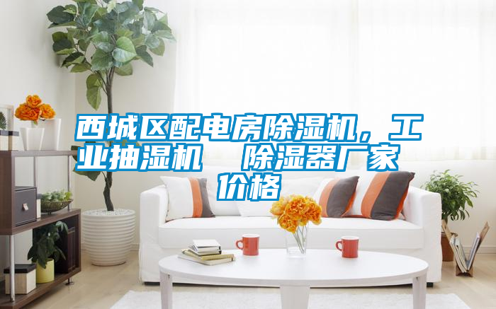 西城區(qū)配電房除濕機(jī)，工業(yè)抽濕機(jī)  除濕器廠家 價格