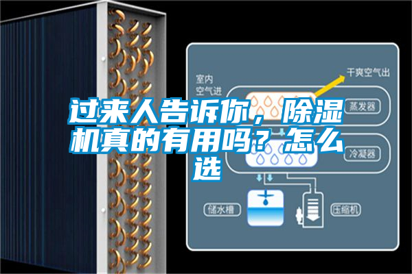 過來人告訴你，除濕機真的有用嗎？怎么選