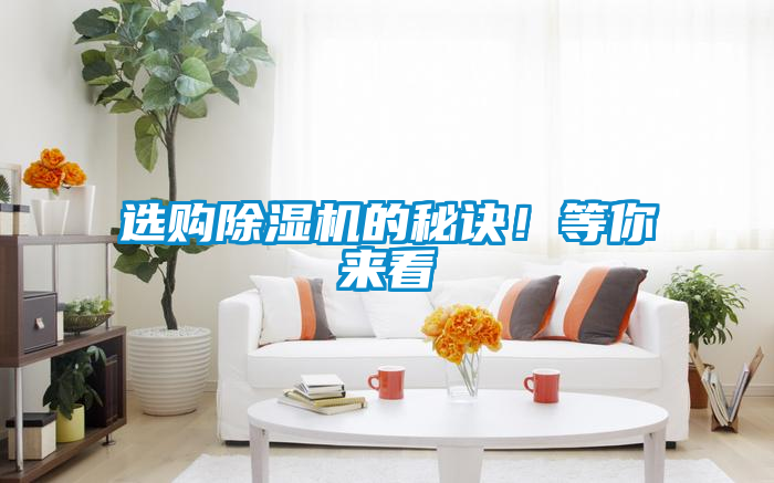 選購(gòu)除濕機(jī)的秘訣！等你來(lái)看