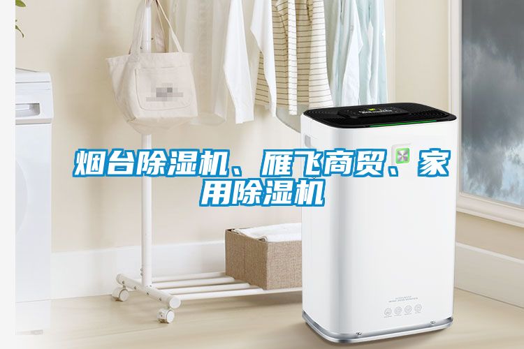 煙臺(tái)除濕機(jī)、雁飛商貿(mào)、家用除濕機(jī)