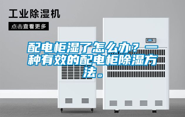 配電柜濕了怎么辦？一種有效的配電柜除濕方法。