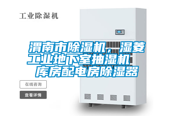 渭南市除濕機(jī)，濕菱工業(yè)地下室抽濕機(jī)  庫房配電房除濕器