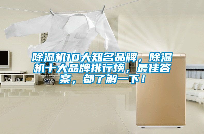 除濕機(jī)10大知名品牌，除濕機(jī)十大品牌排行榜，最佳答案，都了解一下！