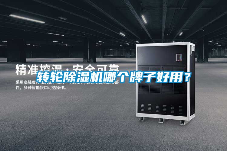轉輪除濕機哪個牌子好用？