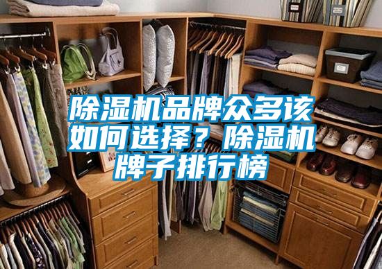 除濕機(jī)品牌眾多該如何選擇？除濕機(jī)牌子排行榜