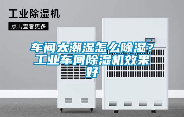 車間太潮濕怎么除濕？工業(yè)車間除濕機(jī)效果好