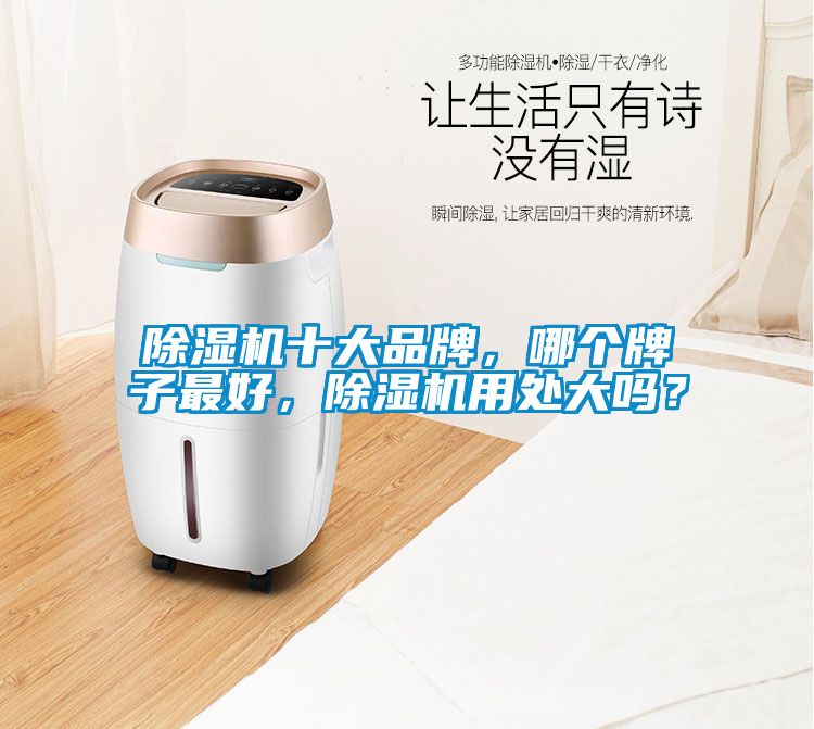 除濕機十大品牌，哪個牌子最好，除濕機用處大嗎？