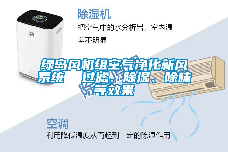 綠島風機組空氣凈化新風系統(tǒng)  過濾、除濕、除味等效果