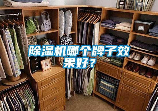 除濕機(jī)哪個(gè)牌子效果好？