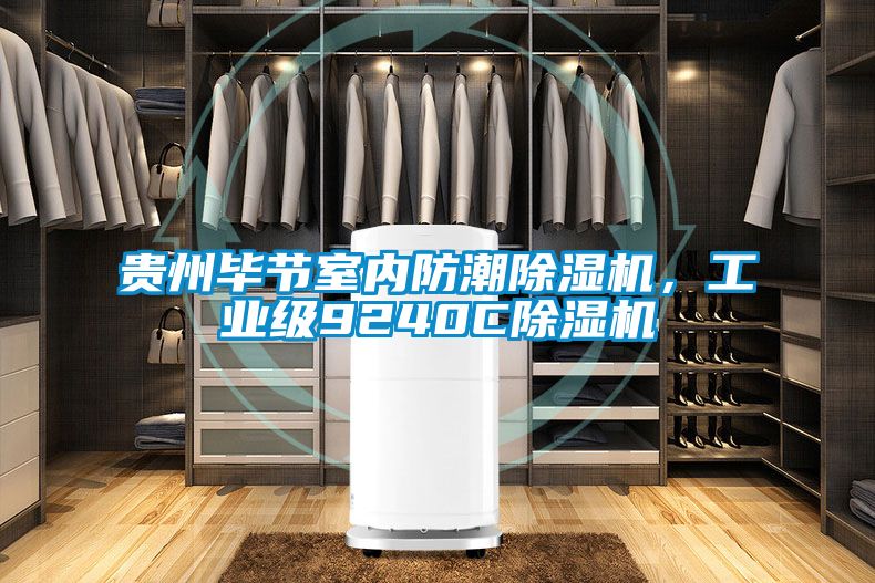 貴州畢節(jié)室內(nèi)防潮除濕機(jī)，工業(yè)級(jí)9240C除濕機(jī)