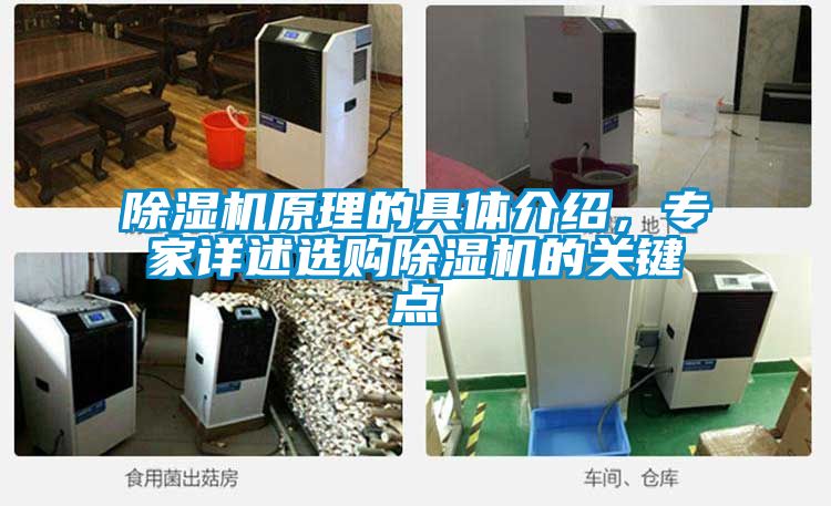 除濕機原理的具體介紹，專家詳述選購除濕機的關(guān)鍵點