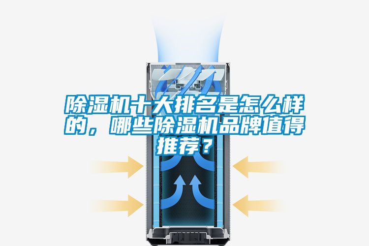 除濕機十大排名是怎么樣的，哪些除濕機品牌值得推薦？