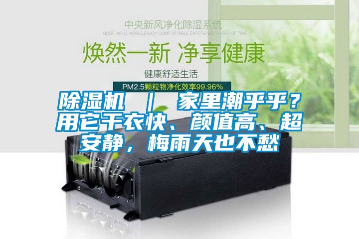 除濕機(jī) ｜ 家里潮乎乎？用它干衣快、顏值高、超安靜，梅雨天也不愁