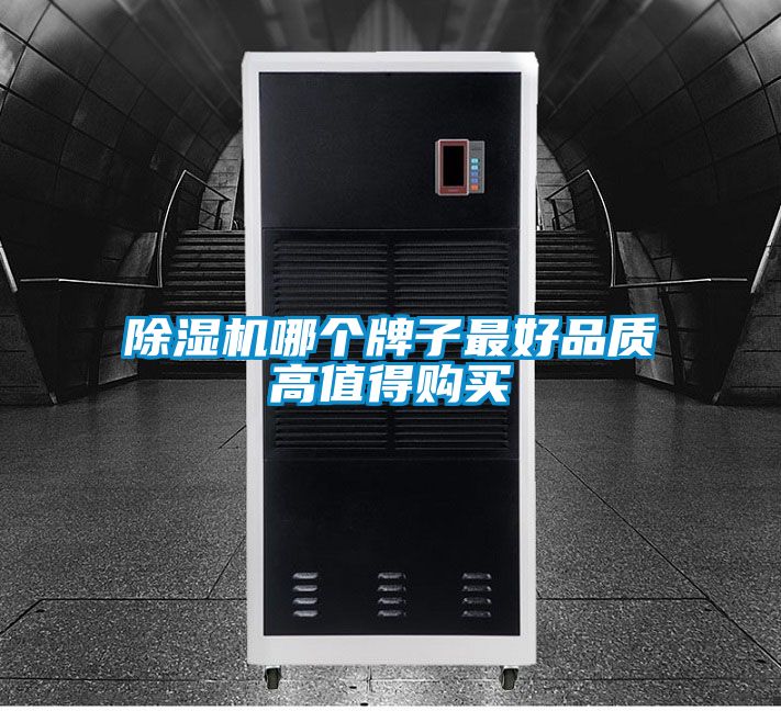 除濕機(jī)哪個(gè)牌子最好品質(zhì)高值得購(gòu)買(mǎi)