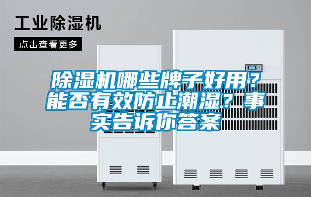 除濕機哪些牌子好用？能否有效防止潮濕？事實告訴你答案