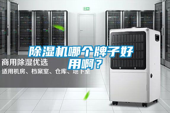 除濕機(jī)哪個(gè)牌子好 用??？