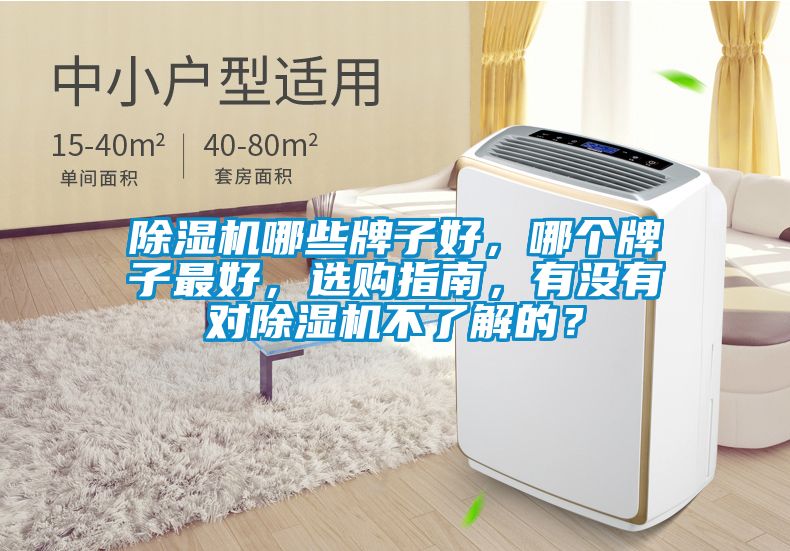 除濕機(jī)哪些牌子好，哪個(gè)牌子最好，選購(gòu)指南，有沒(méi)有對(duì)除濕機(jī)不了解的？