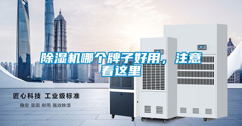 除濕機(jī)哪個(gè)牌子好用，注意看這里
