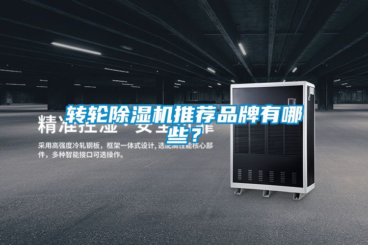 轉(zhuǎn)輪除濕機(jī)推薦品牌有哪些？