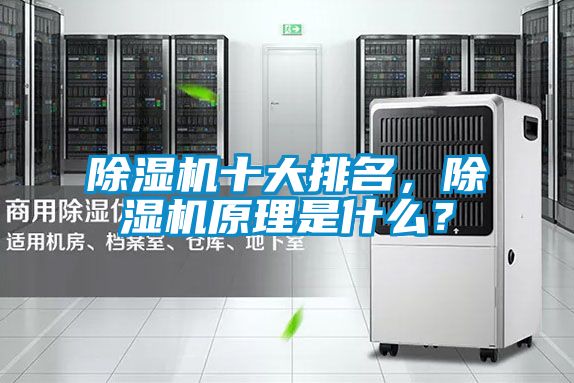除濕機十大排名，除濕機原理是什么？