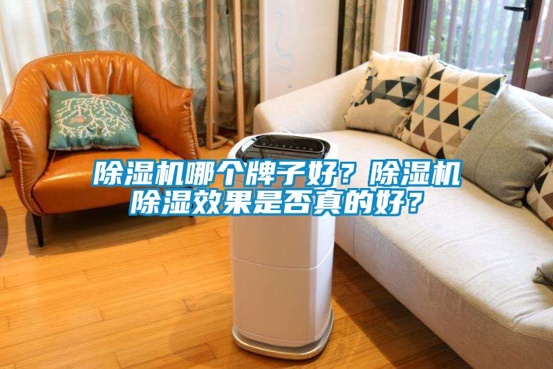 除濕機哪個牌子好？除濕機除濕效果是否真的好？