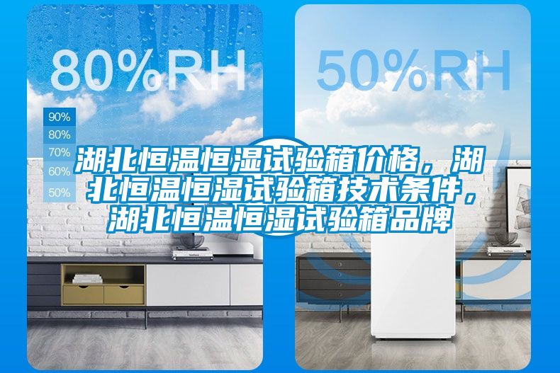 湖北恒溫恒濕試驗箱價格，湖北恒溫恒濕試驗箱技術(shù)條件，湖北恒溫恒濕試驗箱品牌